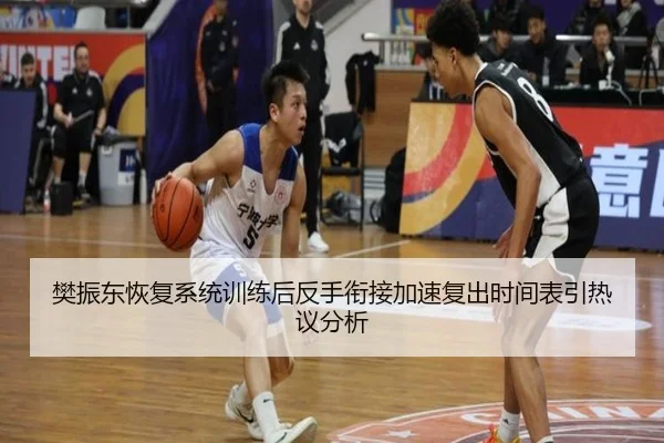 樊振东恢复系统训练后反手衔接加速复出时间表引热议分析